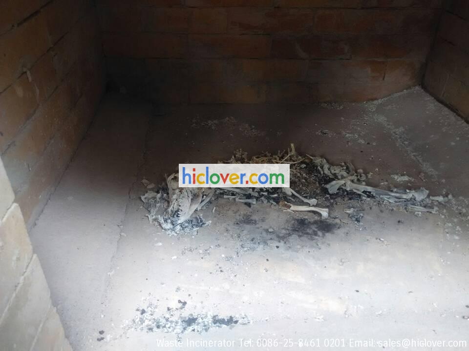 pet crematory